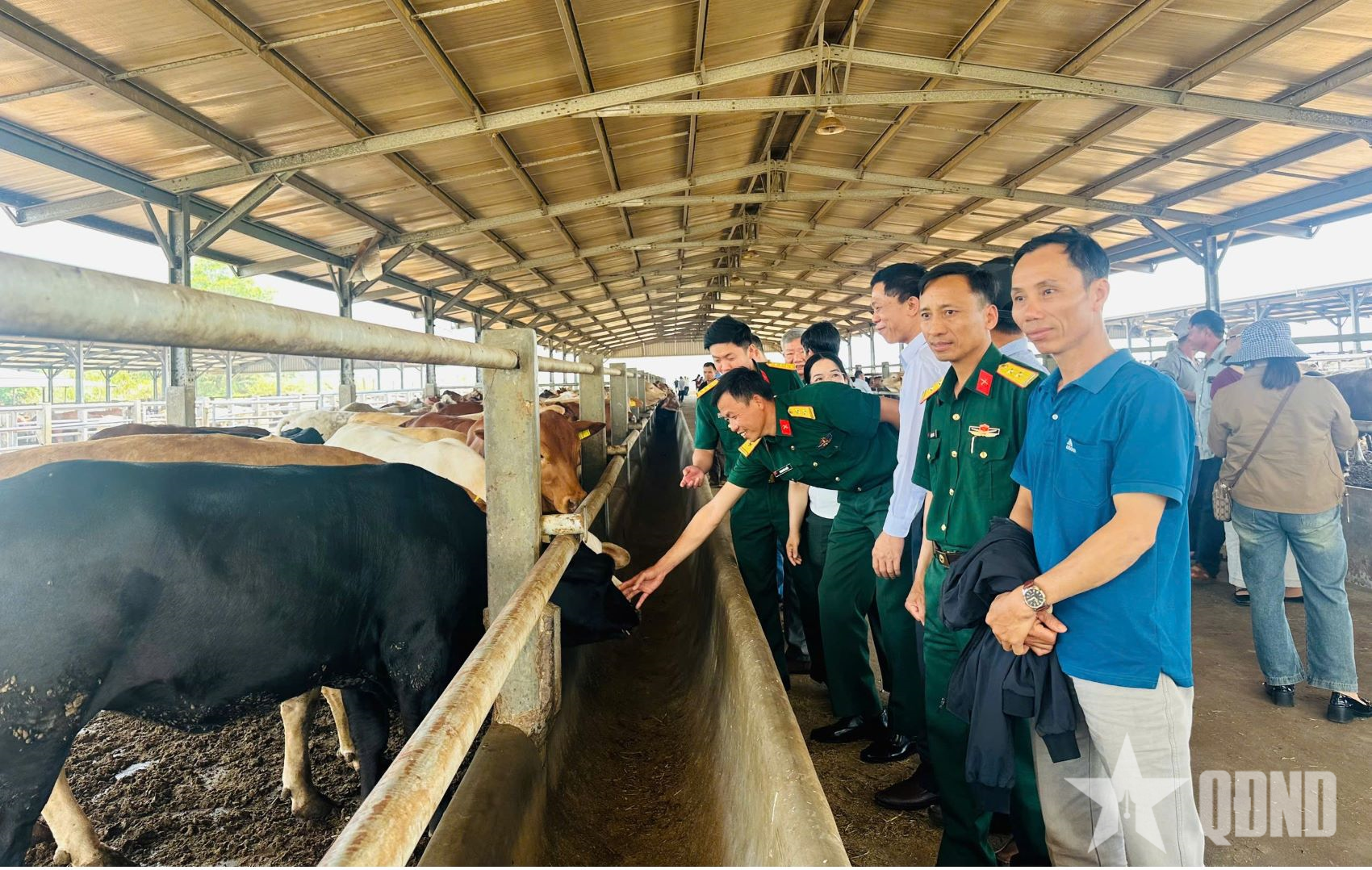 Trung đoàn 726 tham quan, học tập mô hình sản xuất phân bón hữu cơ